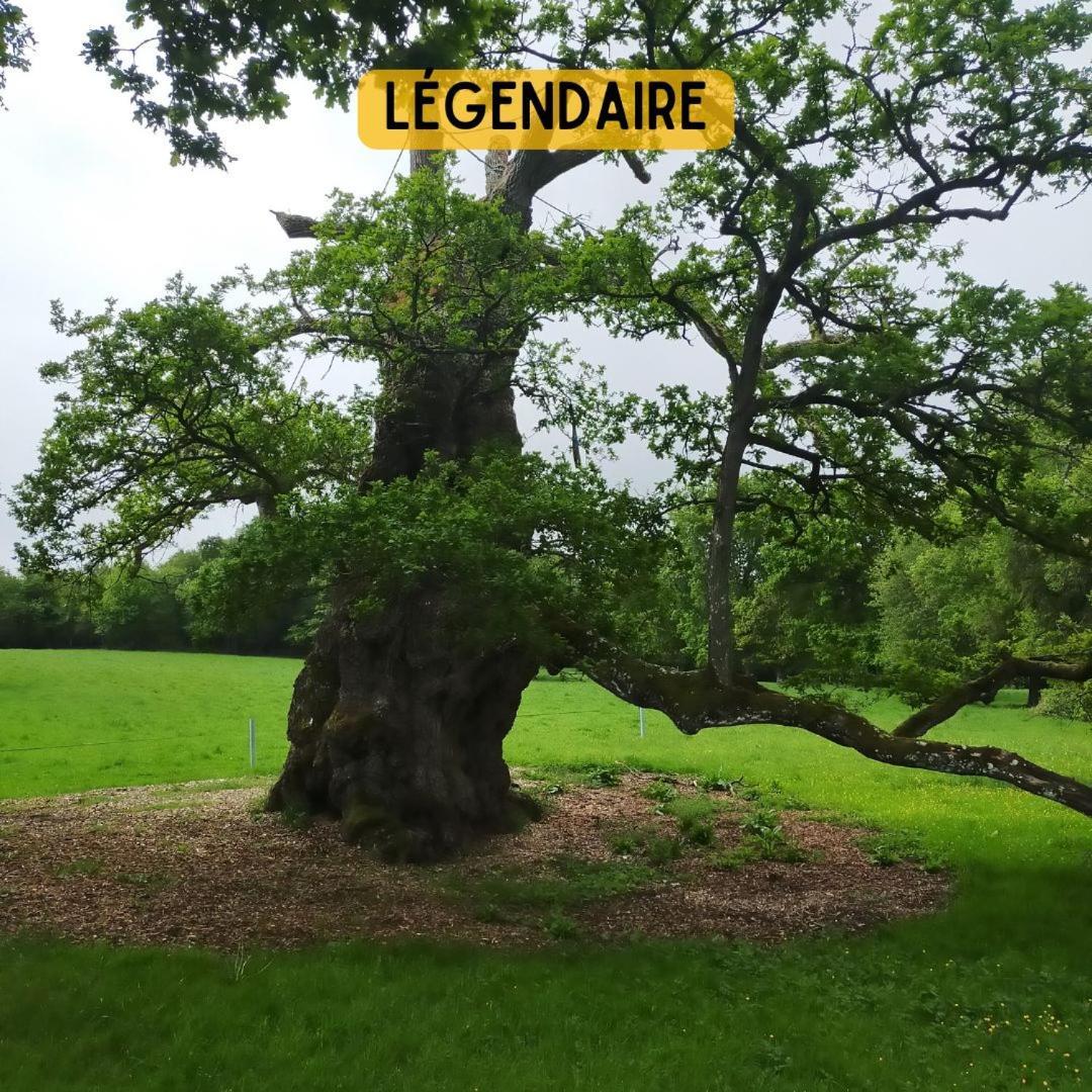 Camping Le Val Aux Fees - Broceliande Concoret المظهر الخارجي الصورة